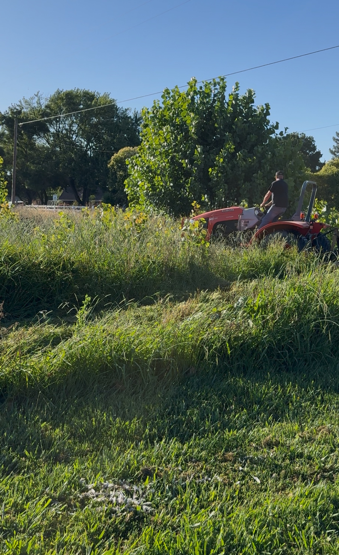 Wide field being mowed by an industrial brush hog mower